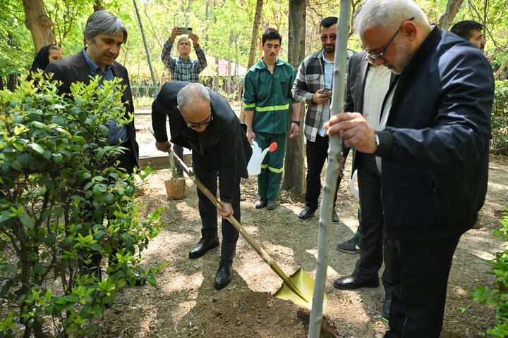 بوستان قیطریه میزبان نهال های تازه در روز تولد امام شهید بود