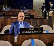 علی‌نژاد: ۳۰ درصد بودجه فدراسیون‌ها را واریز کردیم