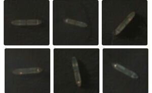 عبور دوباره‌ی ۴ نفتکش ایرانی از محاصره