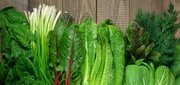 تغذیه مغز؛ ۱۱ خوراکی برای تقویت حافظه و تمرکز