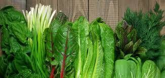 تغذیه مغز؛ ۱۱ خوراکی برای تقویت حافظه و تمرکز