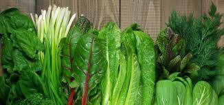 تغذیه مغز؛ ۱۱ خوراکی برای تقویت حافظه و تمرکز