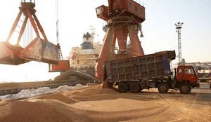 دو استراتژی جدید تامین کالاهای اساسی کلید خورد