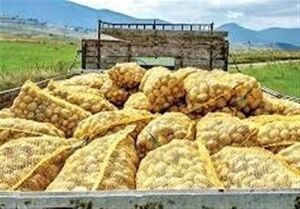 جهش ۷۰۰ درصدی قیمت سیب‌زمینی در اروپا