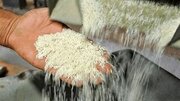کشف ۴۰۸ تن برنج احتکاری در بابل