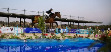 تدوین برنامه راهبردی ۱۰ ساله در فدراسیون سوارکاری