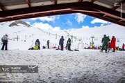 عکس/ اسکی بهاری در توچال تهران