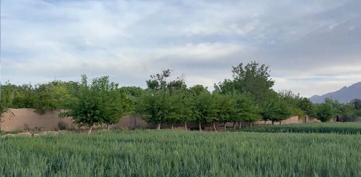 فیلم/ روستایی کوهپایه‌ای در دل کویر