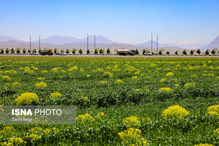 شهرکرد بام ایران