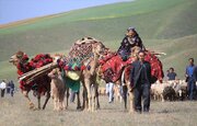کوچ در بن‌بست مدرنیته