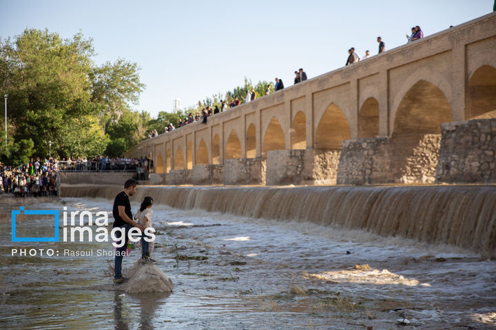 زاینده