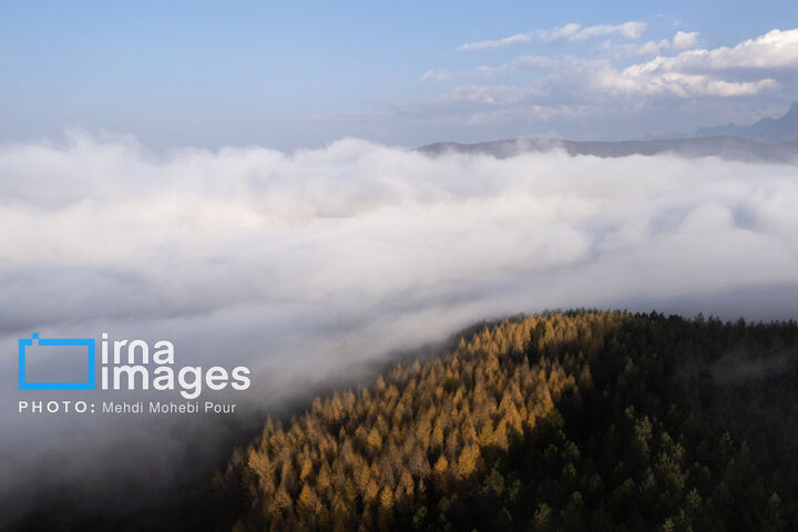 آسمان
