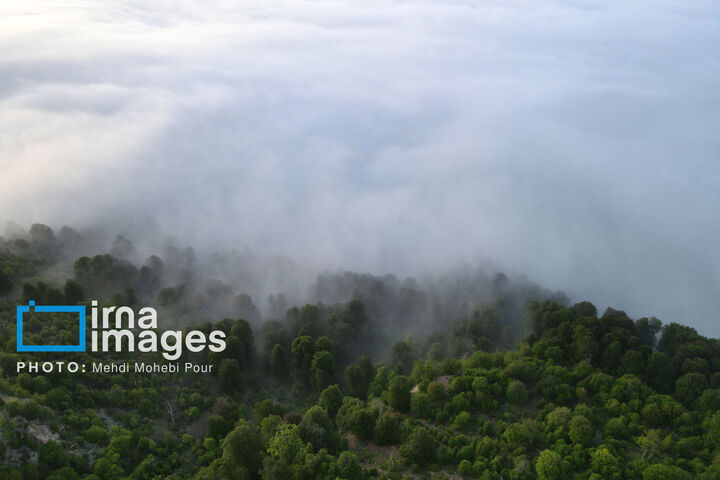 آسمان