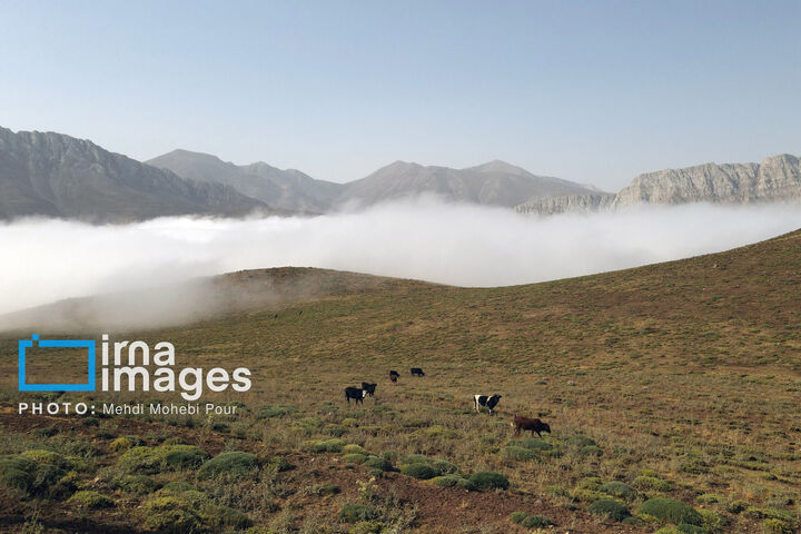 آسمان