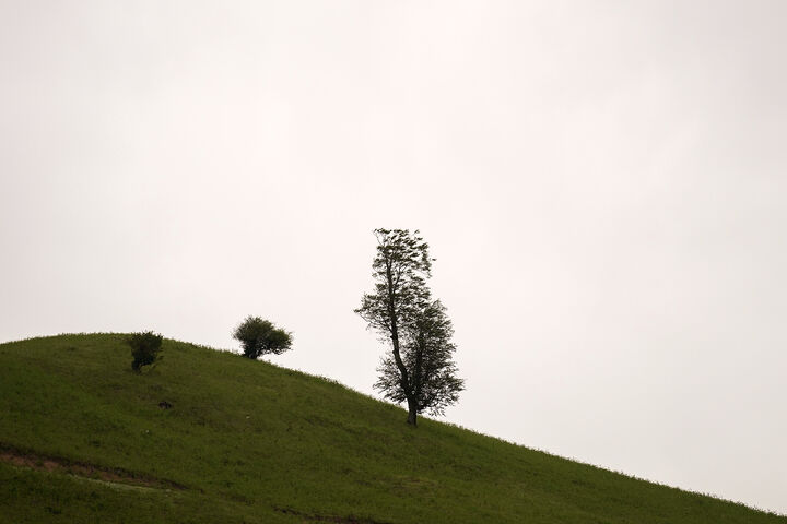 طبیعت1