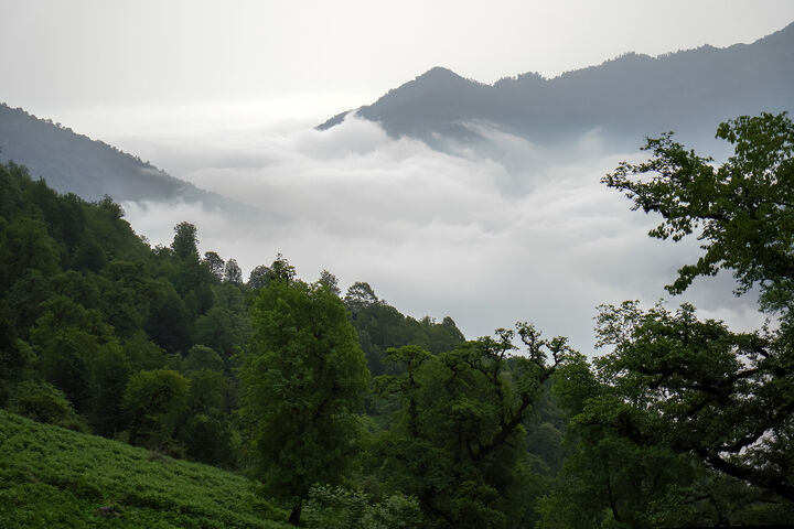 طبیعت1