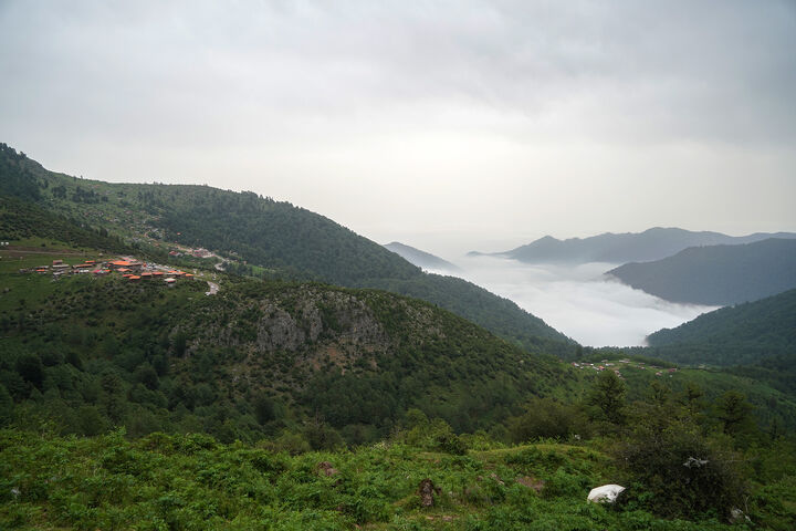 طبیعت1