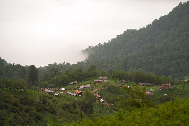 طبیعت1