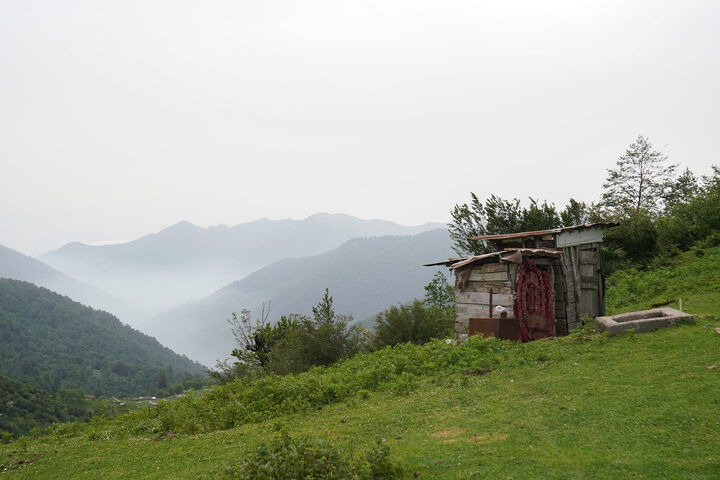 طبیعت1
