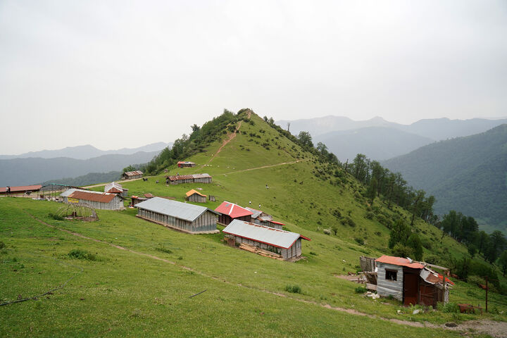طبیعت1