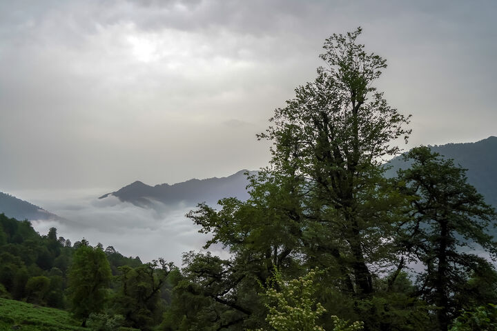 طبیعت1