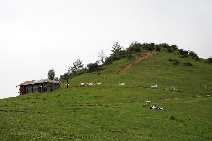 طبیعت1
