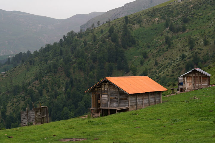 طبیعت1