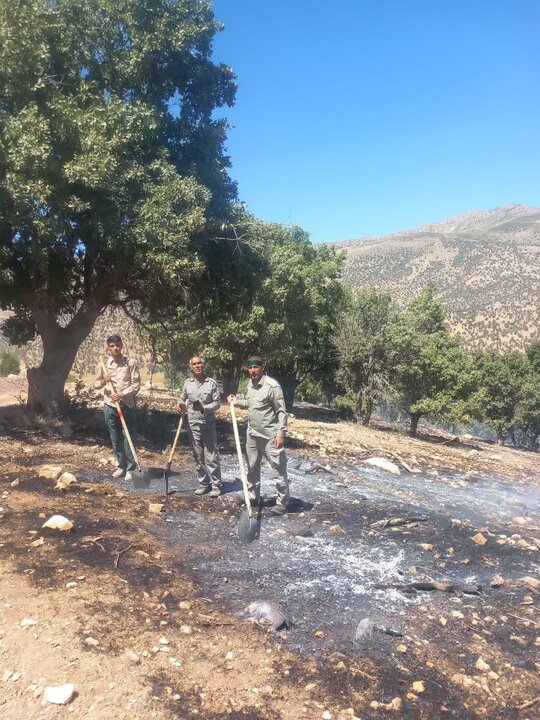 مهار آتش‌سوزی در منطقه حفاظت‌شده «مانشت» و «قلارنگ»