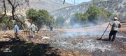 مهار آتش‌سوزی در منطقه حفاظت‌شده «مانشت» و «قلارنگ»