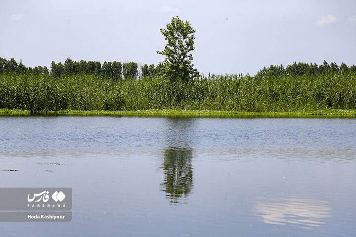 تالاب