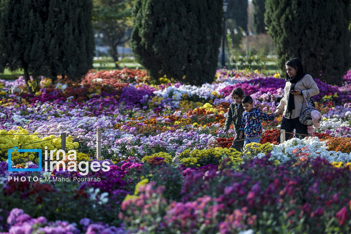 روزی برای یادآوری؛ گل‌ها، حافظان فرهنگ و خاطرات ایرانی