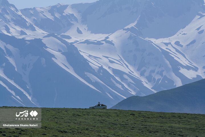 طبیعت بهار