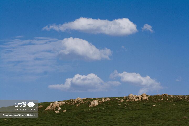 طبیعت بهار