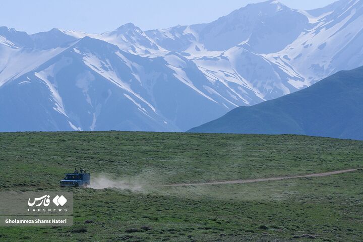 طبیعت بهار