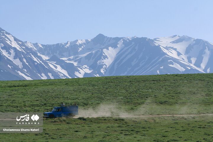 طبیعت بهار