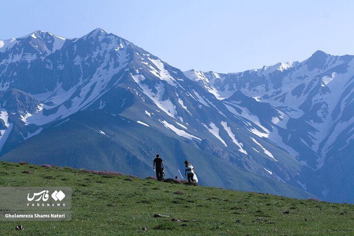 طبیعت بهار