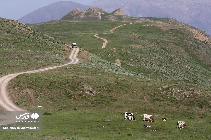 طبیعت بهار