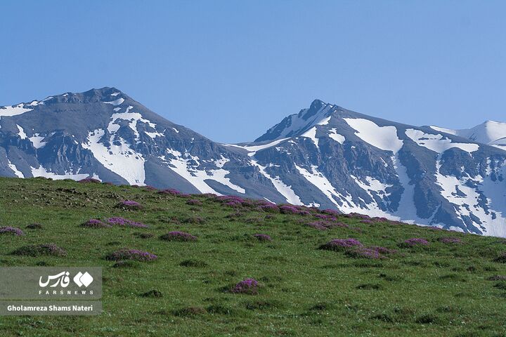 طبیعت بهار