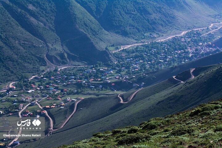 طبیعت بهار