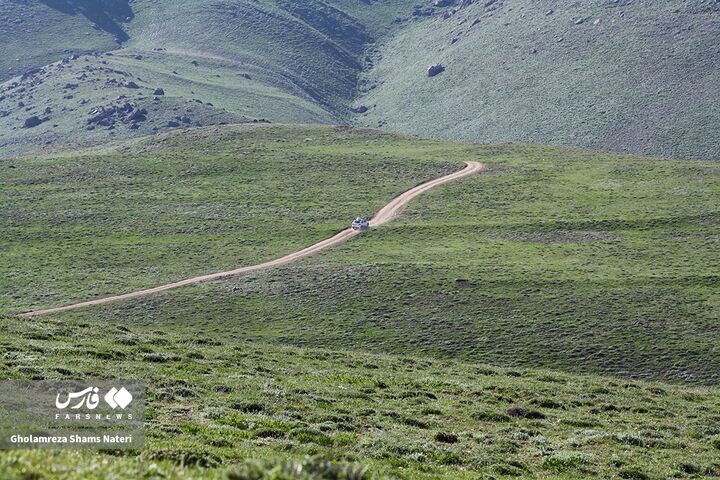 طبیعت بهار