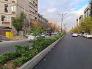 توسعه ۴۵۰۰ مترمربع رفیوژ سبز در خیابان‌های مدنی و شهید ثانی منطقه۸