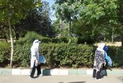 مشارکت بانوان حامی محیط‌زیست منطقه2 در پویش پاکسازی بوستان پردیسان