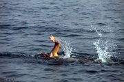 ۱۴۸ نفر از ابتدای سال در محیط‌های آبی پرخطر جان باختند