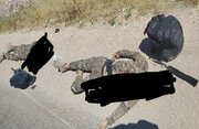 کشته شدن دو سرباز سوری در حومه حلب