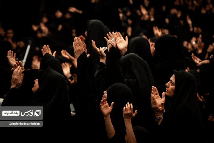 سادات اخوی