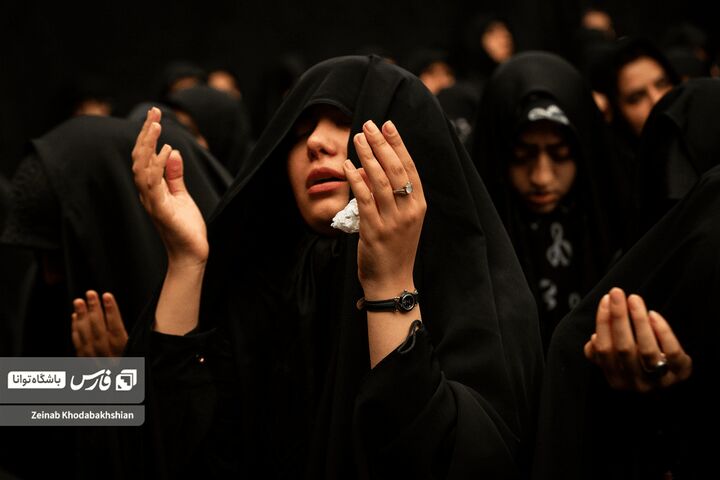 سادات اخوی