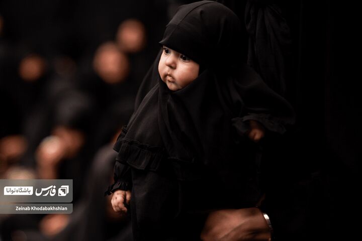 سادات اخوی