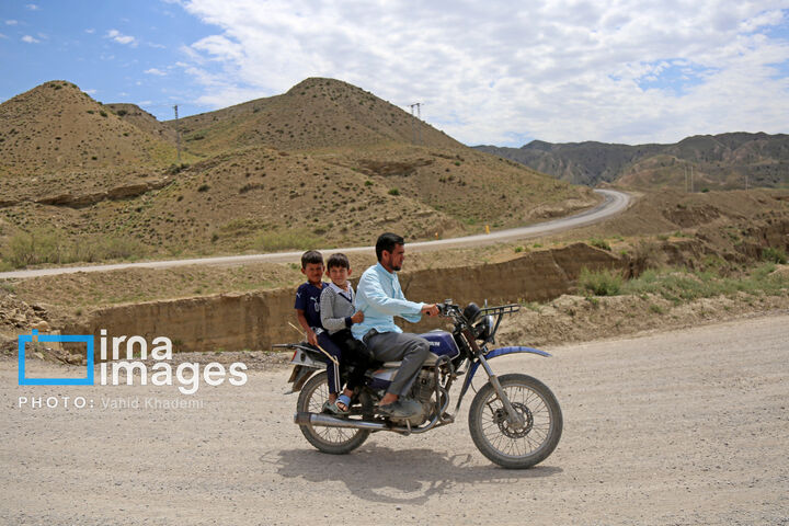 ترکمن