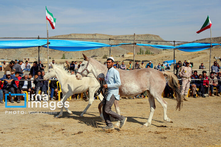 ترکمن