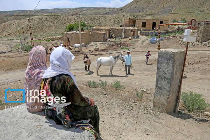 ترکمن